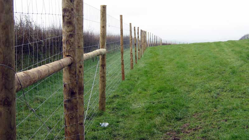 Game Fencing – Steel Lines Zambia | manufacturer of wire mesh products