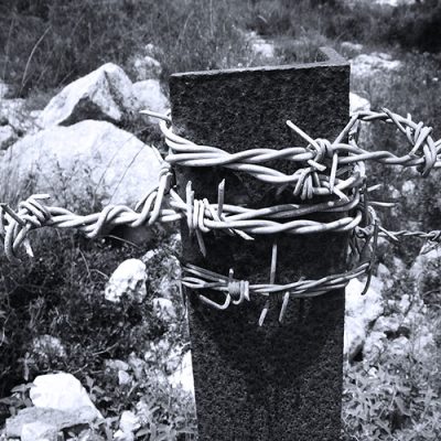 barbed-18421_1920